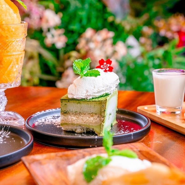 A slice of NōKA Ramen & Bar's matcha cake with whipped cream, mint, and a red flower.